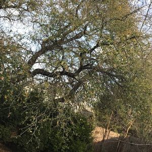 Meet your Posher, Cassandra